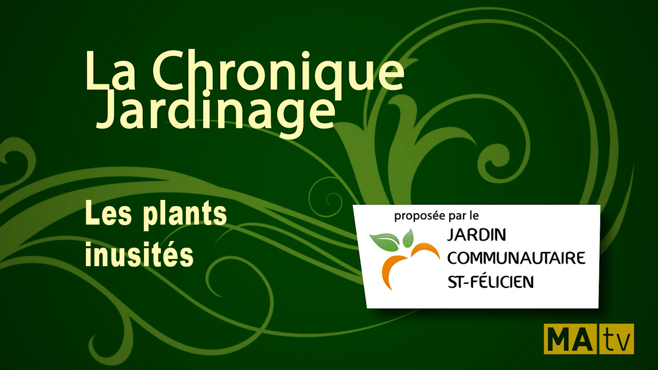Les plants inusités